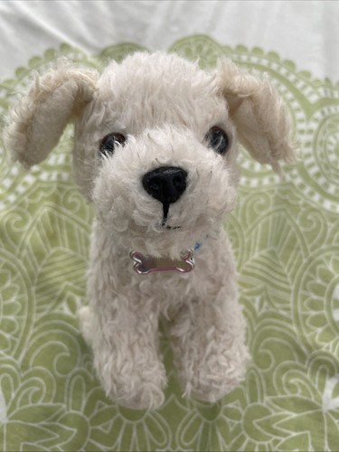 Our generation poodle - generation,