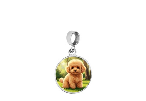 Toy poodle puppy dog - charm, on