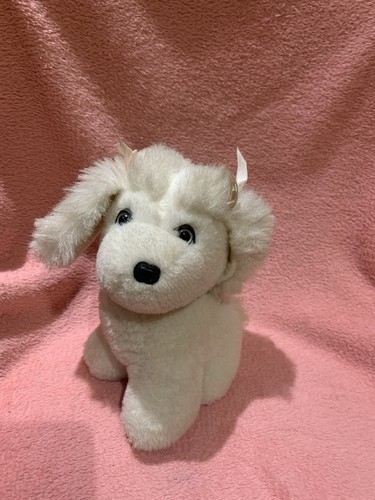 Vintage white poodle puppy - poodle?,