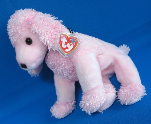 Pink sparkly poodle puppy - poodle, dog