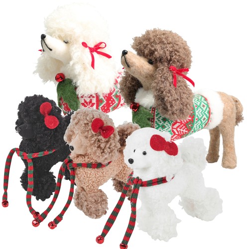Cute poodle dog - dog,