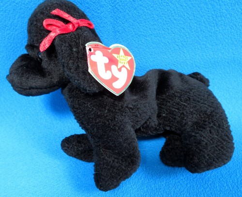 Gigi poodle black - black, puppy