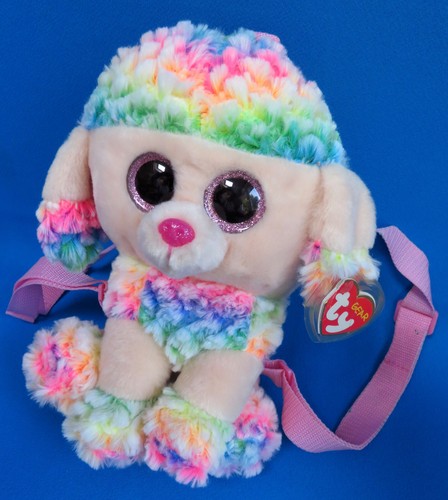 Poodle puppy dog - poodle,