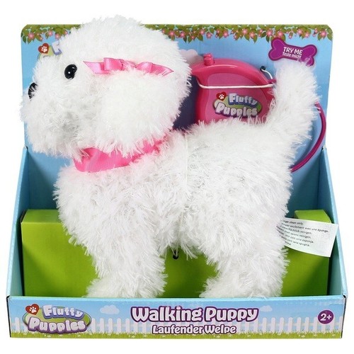 Fluffy puppies walking poodle - fluffy,