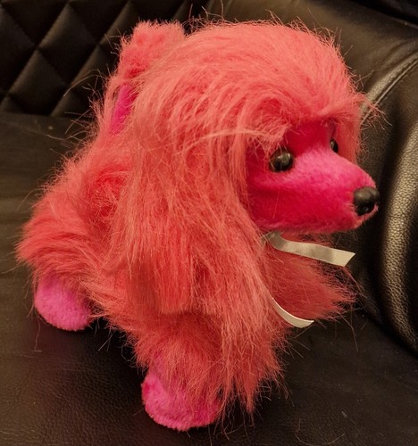 Pink puppy dog poodle - puppy, &