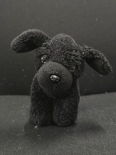 Our generation black poodle - our,