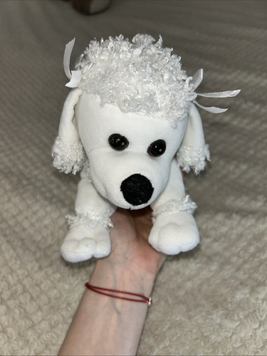 White poodle puppy - poodle, soft