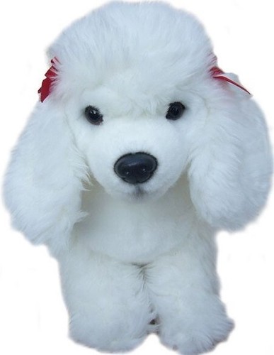 White poodle puppy - white, plush