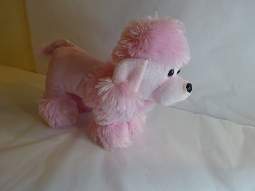 Pink poodle puppy - pink, dog