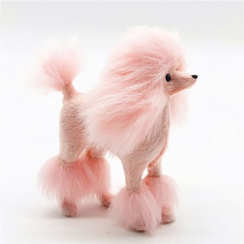 Inch mini poodle animal - inch,